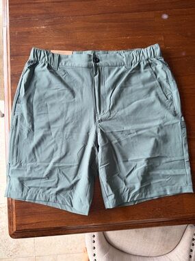 NWT Eddie Bauer Men's Shorts in Sage Green, size L